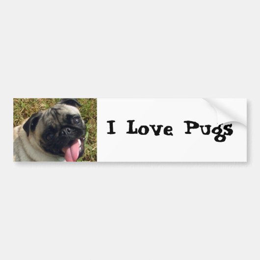 I Love Pugs Bumpersticker (Voorkant)