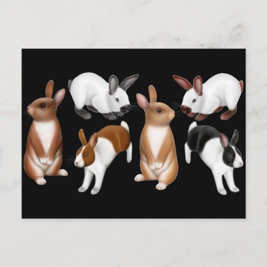 I Love Rabbits Briefkaart (Voorkant)