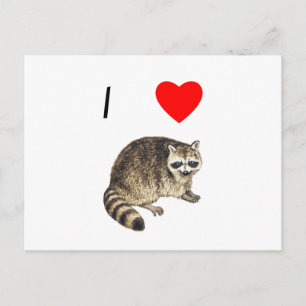 I Love Raccoons Briefkaart