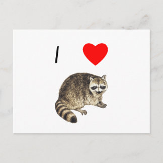 I Love Raccoons Briefkaart