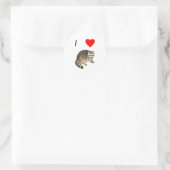 I Love Raccoons Ronde Sticker (Tas)