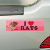 I love Rats Bumpersticker (Op auto)