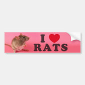 I love Rats Bumpersticker (Voorkant)