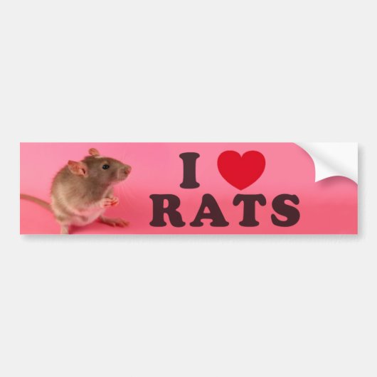 I love Rats Bumpersticker (Voorkant)
