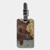 I Love Sage Bagagelabel (Voorkant verticaal)