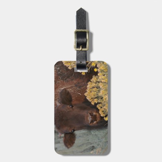 I Love Sage Bagagelabel (Voorkant verticaal)