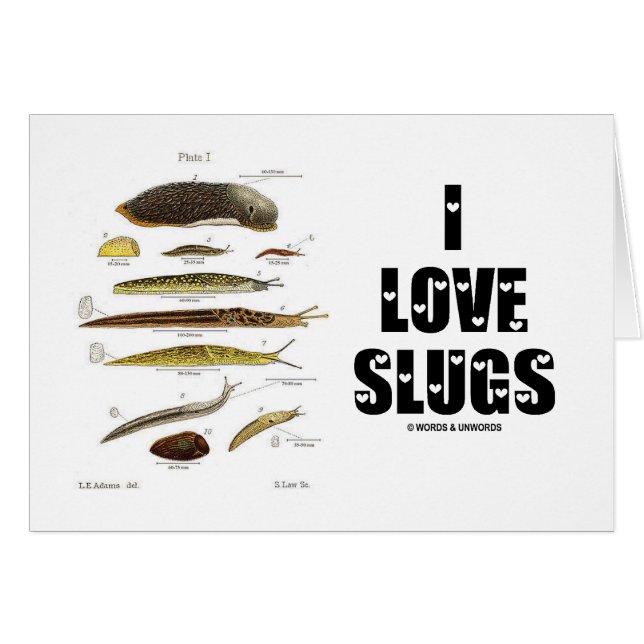 I Love Slugs (Naturalist/Natuur) (Voorkant Horizontaal)