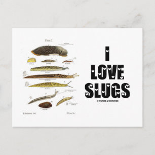 I Love Slugs (Naturalist/Natuur) Briefkaart