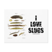 I Love Slugs (Naturalist/Natuur)