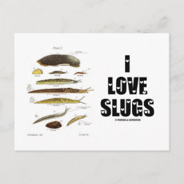 I Love Slugs (Naturalist/Natuur) Briefkaart