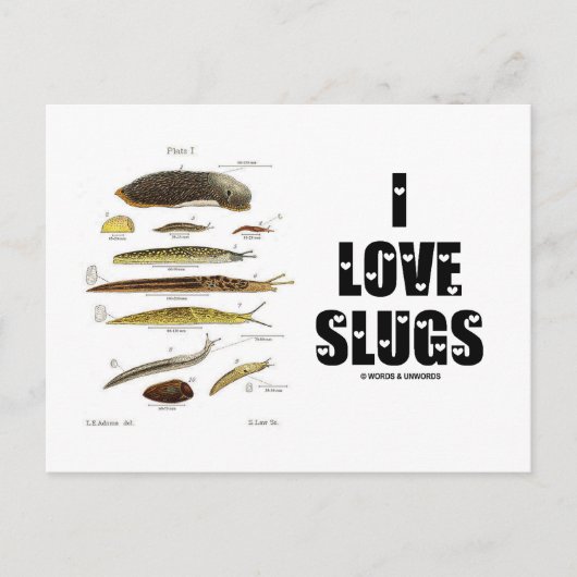 I Love Slugs (Naturalist/Natuur) Briefkaart (Voorkant)