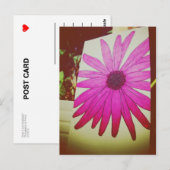 I Love Snailmail - Sunflower Briefkaart (Voorkant / Achterkant)