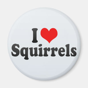 I Love Squirrels Magneet