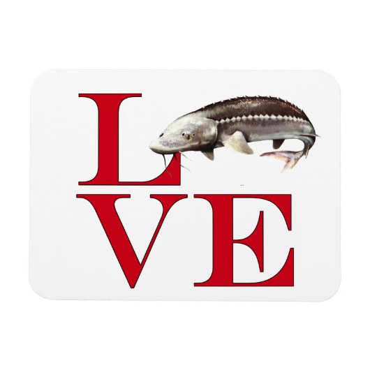 I Love Sturgeon Magneet (Horizontaal)
