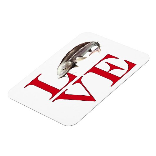 I Love Sturgeon Magneet (Linkerzijde)