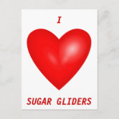 I Love Sugar Gliders Briefkaart (Voorkant)