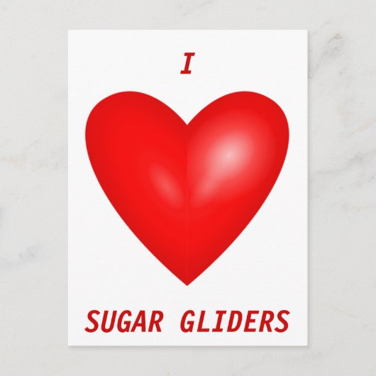 I Love Sugar Gliders Briefkaart (Voorkant)