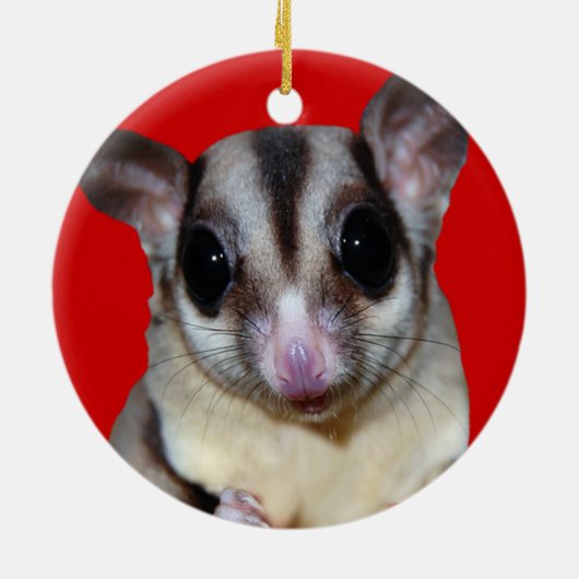 I Love Sugar Gliders ornament (Achterkant)