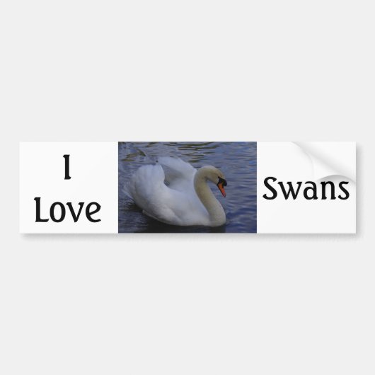 I Love Swans Bumpersticker (Voorkant)
