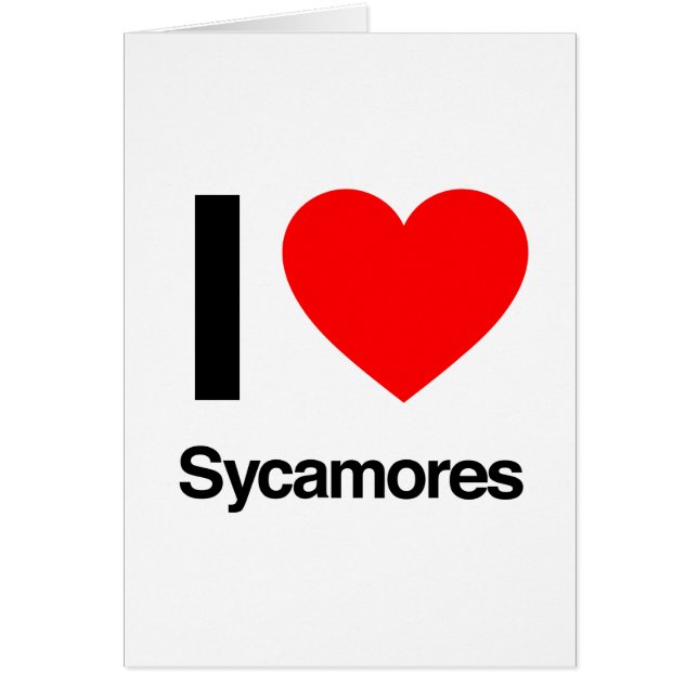 i love sycamores (Voorkant)