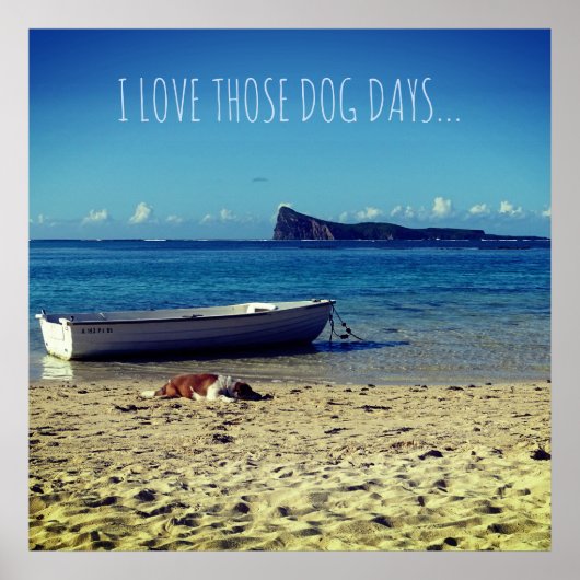 I love those Dog Days... Poster (Voorkant)