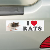 I love (variegated) Rats Bumpersticker (Op auto)