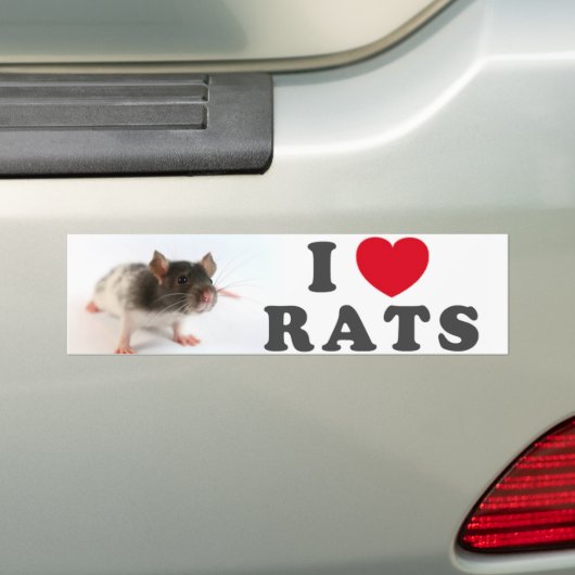 I love (variegated) Rats Bumpersticker (Op auto)