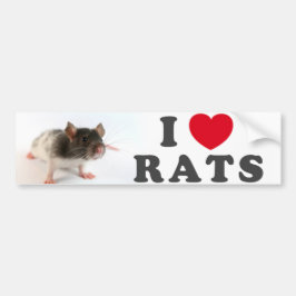 I love (variegated) Rats Bumpersticker