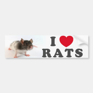 I love (variegated) Rats Bumpersticker