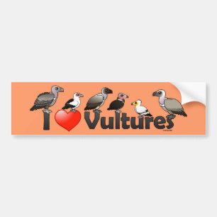 I Love Vultures (Africa) Bumpersticker