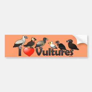 I Love Vultures (Eurasia) Bumpersticker