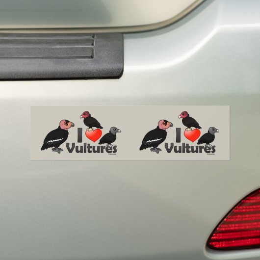 I Love Vultures (North America) Bumpersticker (Op auto)