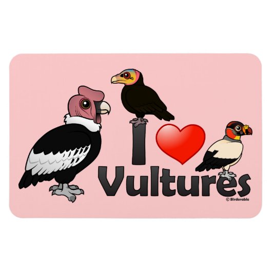 I Love Vultures (South America) Magneet (Horizontaal)