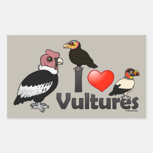 I Love Vultures (South America) Rechthoekige Sticker