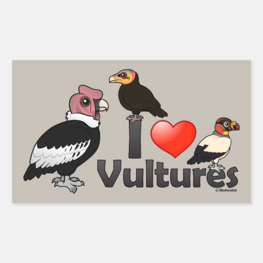 I Love Vultures (South America) Rechthoekige Sticker (Voorkant)