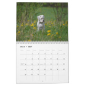 I Love White Boxers 2017 Calendar Kalender (Mar 2027)