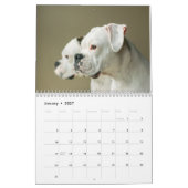 I Love White Boxers 2017 Calendar Kalender (Jan 2027)