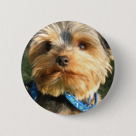 I Love Yorkies Ronde Button 5,7 Cm (Voorkant)