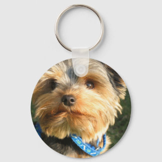 I Love Yorkies Sleutelhanger