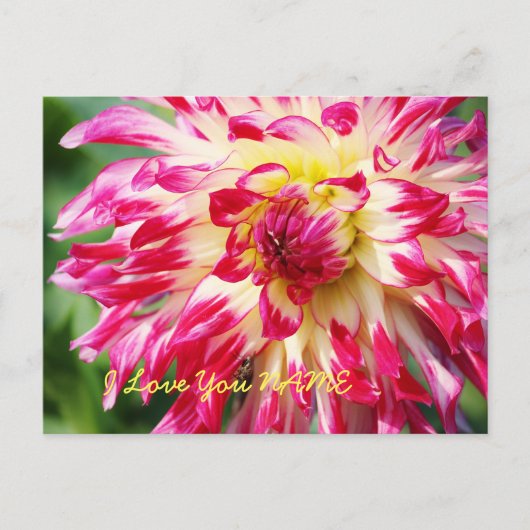 I Love You Briefkaart (Voorkant)