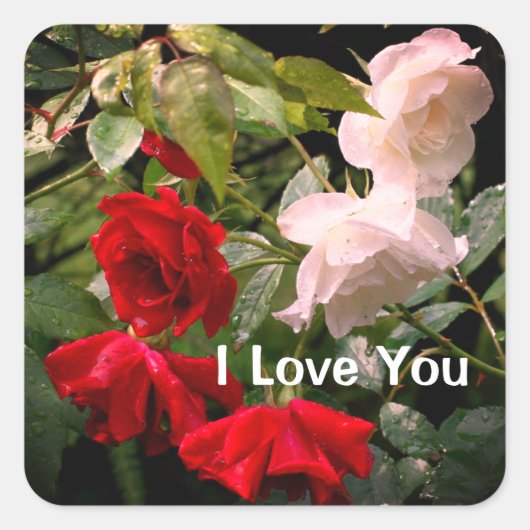 I Love You Drenched Roses Floral Vierkante Sticker (Voorkant)