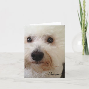 "I Love You... More!" Kaart