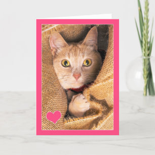 I Love You Oranje Tabby Cat Liefde en Romance Humo Feestdagen Kaart