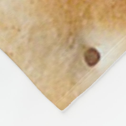 I LUV CRACKERS FLEECE DEKEN (Hoek)