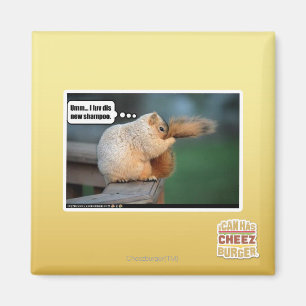 I luv dis new shampoo magneet