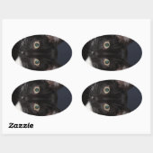 I LUV KATZ OVALE STICKER (Vel)