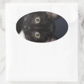 I LUV KATZ OVALE STICKER (Tas)