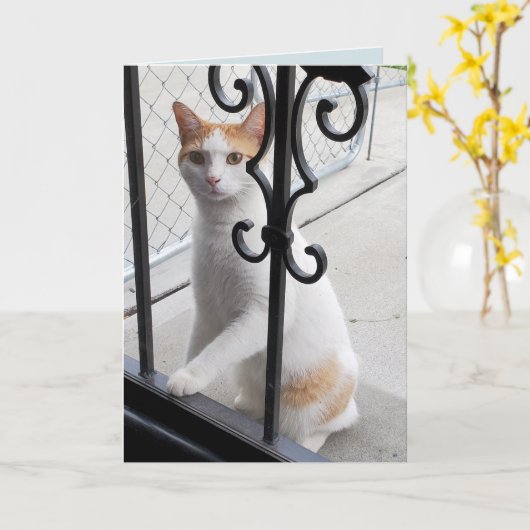 I Miss You Cat Kaart (Gele Bloem)