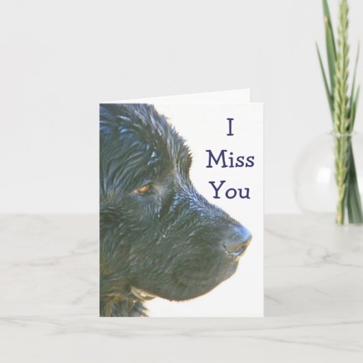 "I Misser Mooi You", droevig-Kijkend Hond Newfie Kaart (Voorkant)