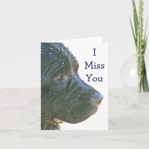 "I Misser Mooi You", droevig-Kijkend Hond Newfie Kaart